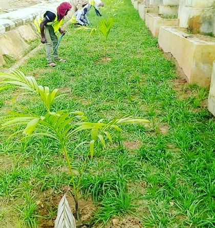 project
